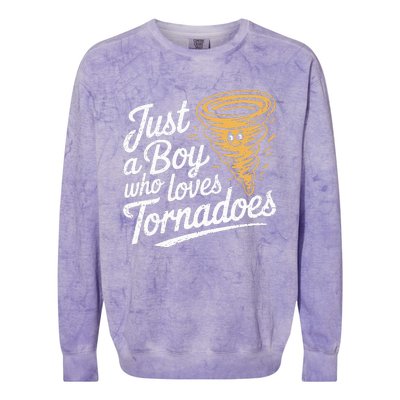 Just A Boy Who Loves Tornadoes Hurricane Weather Chaser Colorblast Crewneck Sweatshirt