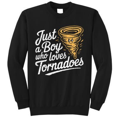 Just A Boy Who Loves Tornadoes Hurricane Weather Chaser Sweatshirt