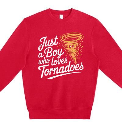 Just A Boy Who Loves Tornadoes Hurricane Weather Chaser Premium Crewneck Sweatshirt