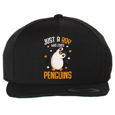 Just A Boy Who Loves Penguins Penguin Lover Wool Snapback Cap