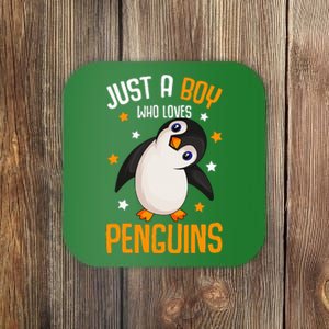 Just A Boy Who Loves Penguins Penguin Lover Coaster