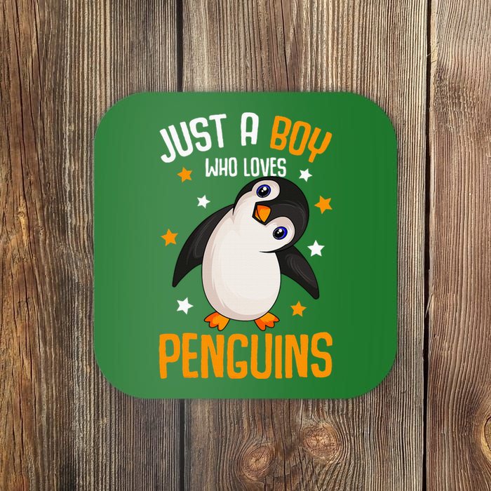 Just A Boy Who Loves Penguins Penguin Lover Coaster