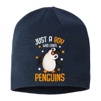 Just A Boy Who Loves Penguins Penguin Lover Sustainable Beanie