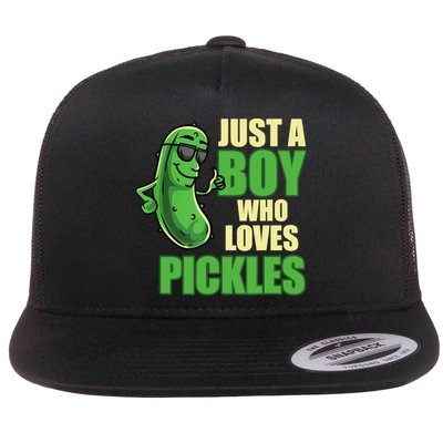Just A Boy Who Loves Pickles Funny Pickle Boy Flatbill Hat