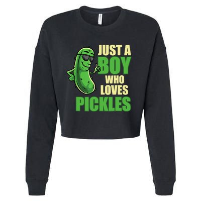 Just A Boy Who Loves Pickles Funny Pickle Boy Cropped Pullover Crew