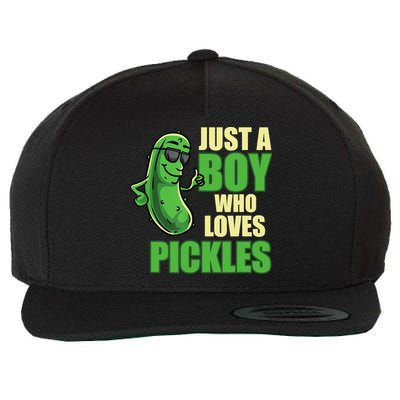 Just A Boy Who Loves Pickles Funny Pickle Boy Wool Snapback Cap