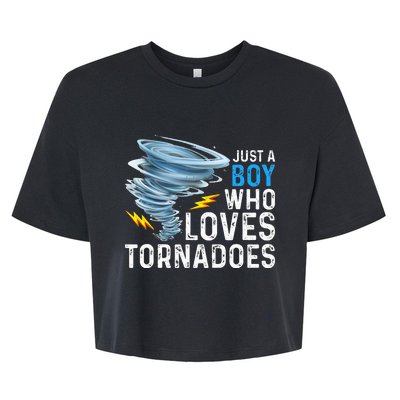 Just A Boy Who Loves Tornadoes Storm Weather Chaser Bella+Canvas Jersey Crop Tee