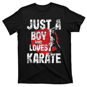 Just A Boy Who Loves Karate Martial Arts Coach Karateka T-Shirt