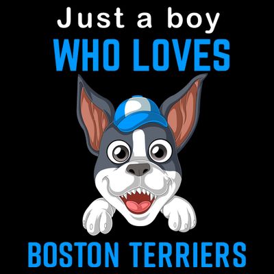 Just A Boy Who Loves Boston Terriers T-Shirt