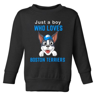 Just A Boy Who Loves Boston Terriers Toddler Sweatshirt