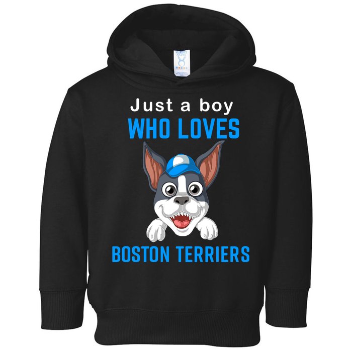 Just A Boy Who Loves Boston Terriers Toddler Hoodie