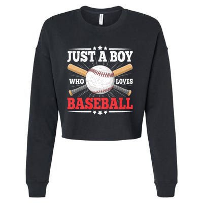 Just A Boy Who Loves Baseball Funny Baseball Player Cropped Pullover Crew