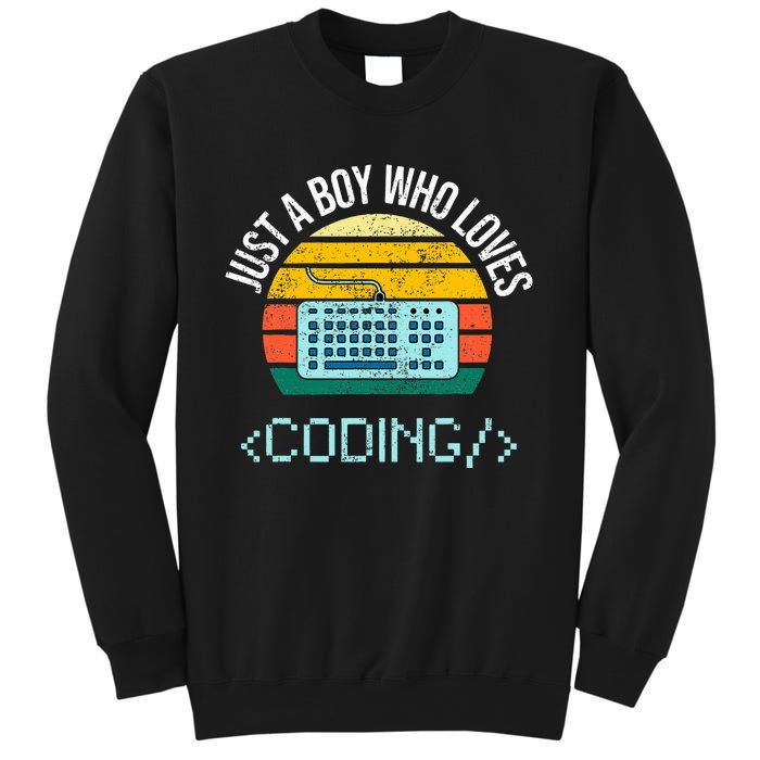 Just A Boy Who Loves Coding Computer Sweatshirt