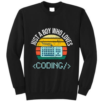 Just A Boy Who Loves Coding Computer Tall Sweatshirt