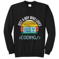 Just A Boy Who Loves Coding Computer Tall Sweatshirt