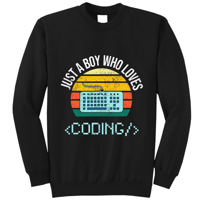 Just A Boy Who Loves Coding Computer Tall Sweatshirt