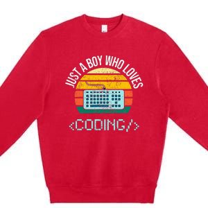 Just A Boy Who Loves Coding Computer Premium Crewneck Sweatshirt