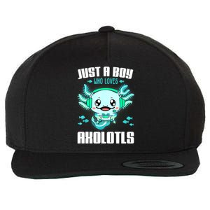 Just A Boy Who Loves Axolotls Funny Axolotl Gamer Kids Boys Wool Snapback Cap