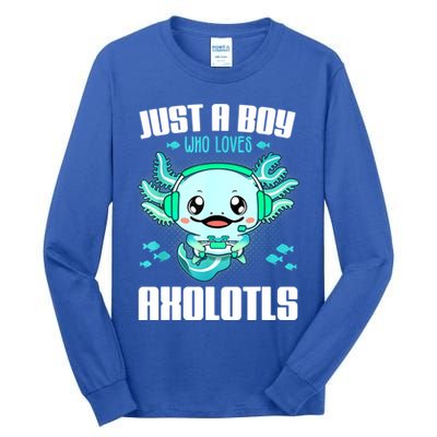 Just A Boy Who Loves Axolotls Funny Axolotl Gamer Kids Boys Tall Long Sleeve T-Shirt