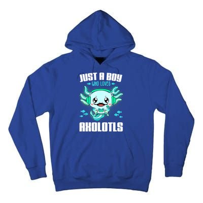 Just A Boy Who Loves Axolotls Funny Axolotl Gamer Kids Boys Tall Hoodie