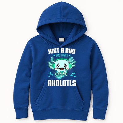 Just A Boy Who Loves Axolotls Funny Axolotl Gamer Kids Boys Kids Hoodie