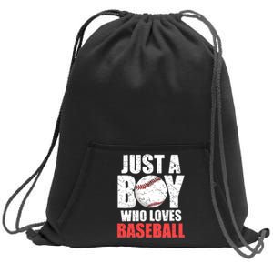 Just A Boy Who Loves Baseball Batter Catcher Pitcher Boy Sweatshirt Cinch Pack Bag