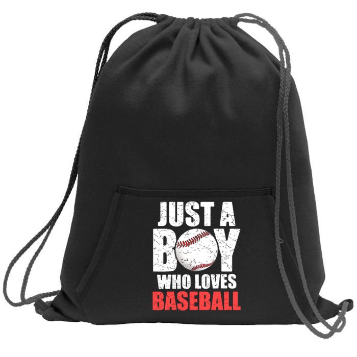 Just A Boy Who Loves Baseball Batter Catcher Pitcher Boy Sweatshirt Cinch Pack Bag