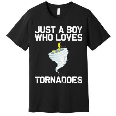 Just A Boy Who Loves Tornadoes Tornado Meteorologist Premium T-Shirt