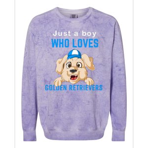 Just A Boy Who Loves Golden Retrivers Colorblast Crewneck Sweatshirt