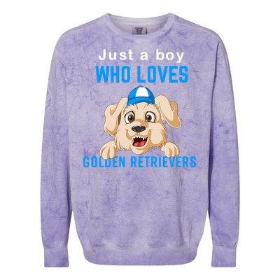 Just A Boy Who Loves Golden Retrivers Colorblast Crewneck Sweatshirt