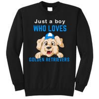 Just A Boy Who Loves Golden Retrivers Sweatshirt