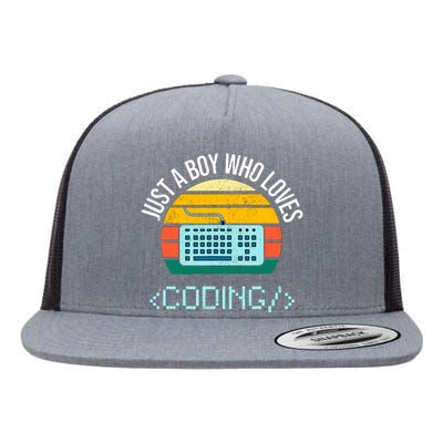 Just A Boy Who Loves Coding Computer Funny Flat Bill Trucker Hat