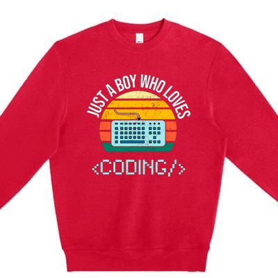 Just A Boy Who Loves Coding Computer Funny Premium Crewneck Sweatshirt