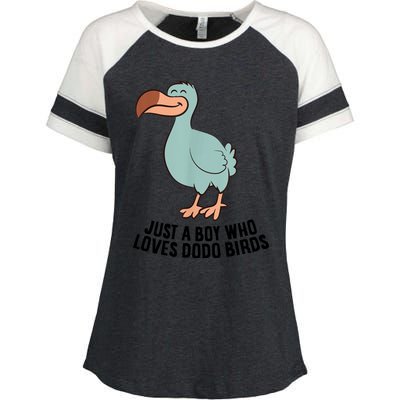 Just A Boy Who Loves Dodo Birds Enza Ladies Jersey Colorblock Tee