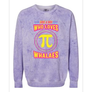 Just A Boy Who Loves Pi Whales Pi Day Colorblast Crewneck Sweatshirt