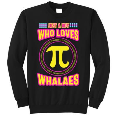 Just A Boy Who Loves Pi Whales Pi Day Sweatshirt