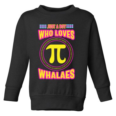 Just A Boy Who Loves Pi Whales Pi Day Toddler Sweatshirt