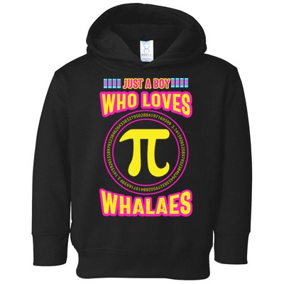 Just A Boy Who Loves Pi Whales Pi Day Toddler Hoodie