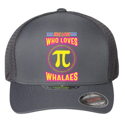 Just A Boy Who Loves Pi Whales Pi Day Flexfit Unipanel Trucker Cap