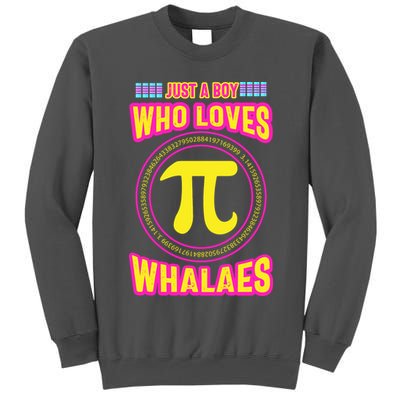 Just A Boy Who Loves Pi Whales Pi Day Tall Sweatshirt