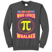 Just A Boy Who Loves Pi Whales Pi Day Tall Sweatshirt