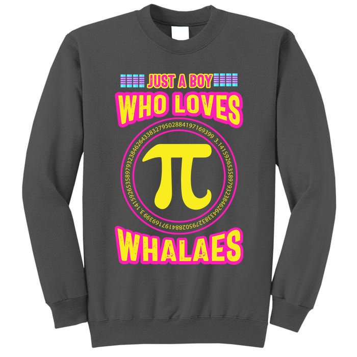 Just A Boy Who Loves Pi Whales Pi Day Tall Sweatshirt