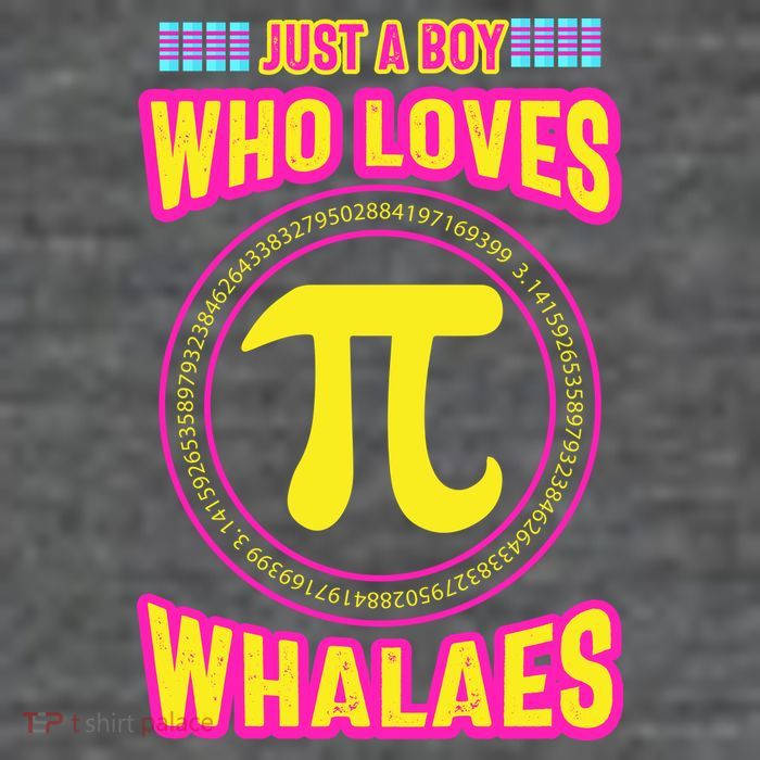 Just A Boy Who Loves Pi Whales Pi Day Wool Snapback Cap