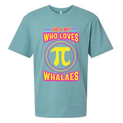 Just A Boy Who Loves Pi Whales Pi Day Sueded Cloud Jersey T-Shirt