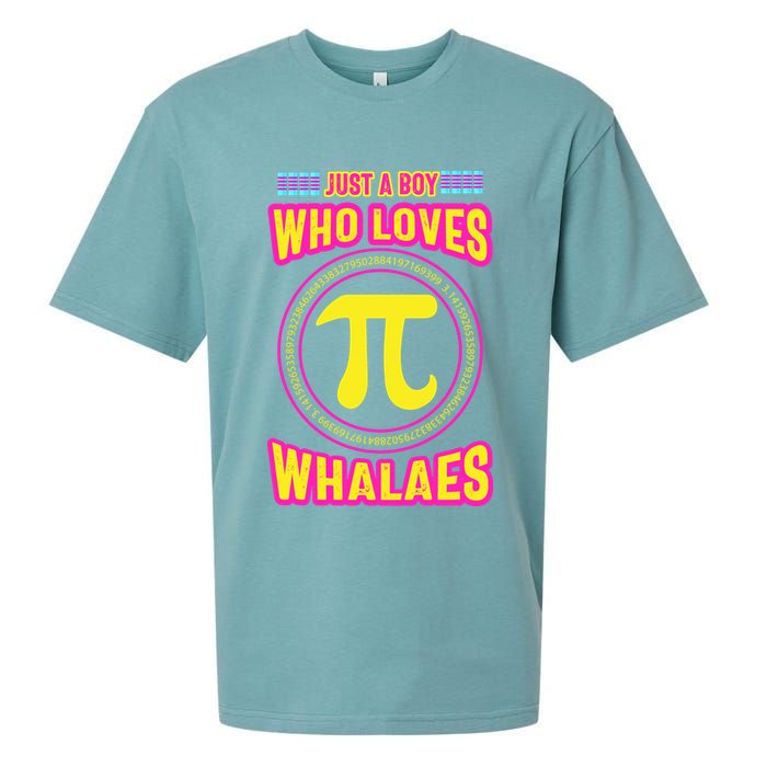 Just A Boy Who Loves Pi Whales Pi Day Sueded Cloud Jersey T-Shirt