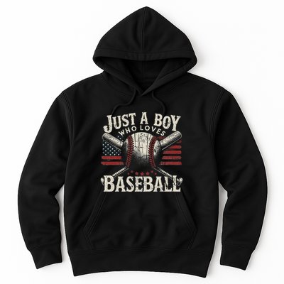 Just A Boy Who Loves Baseball Hoodie
