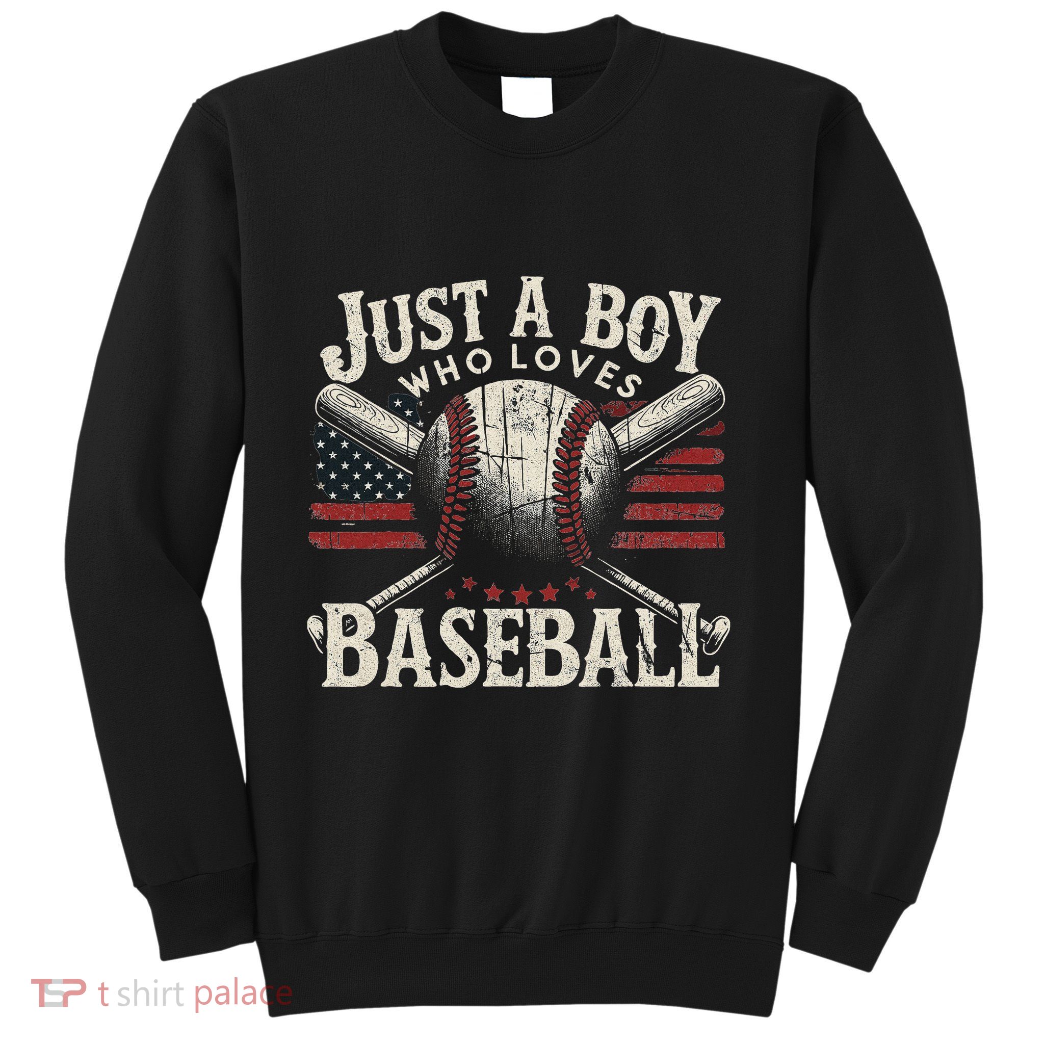 Just A Boy Who Loves Baseball Sweatshirt