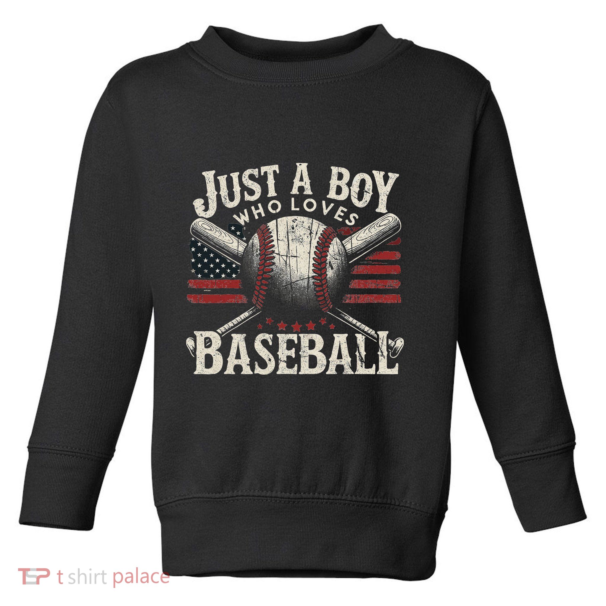 Just A Boy Who Loves Baseball Toddler Sweatshirt