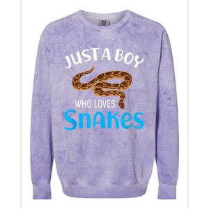 Just A Boy Who Loves Snakes Snake Lover Colorblast Crewneck Sweatshirt