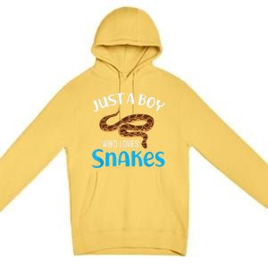 Just A Boy Who Loves Snakes Snake Lover Premium Pullover Hoodie